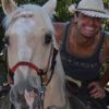 Reiten